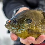 METALLIC COPPER ORANGE WHITE TUNGSTEN AKUA JIG SKUD